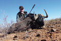 Jagdkrause Namibia Antilopen